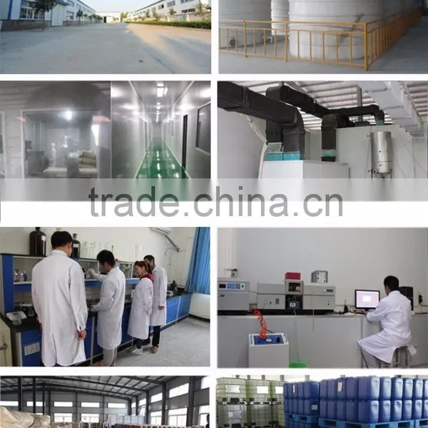 High Quality Acidity Regulator Type Lactic Acid Powder 60% photo-5