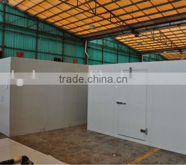 Insulation Cold Room Sliding Door photo-4