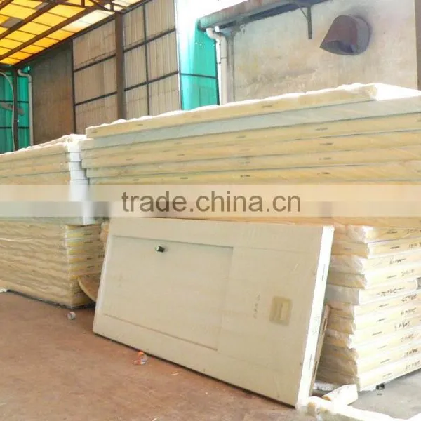 BASF Polyurethane Foaming Door for Cold Room photo-4