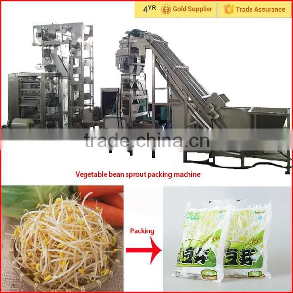 Automatic Mung Bean Sprout Machine