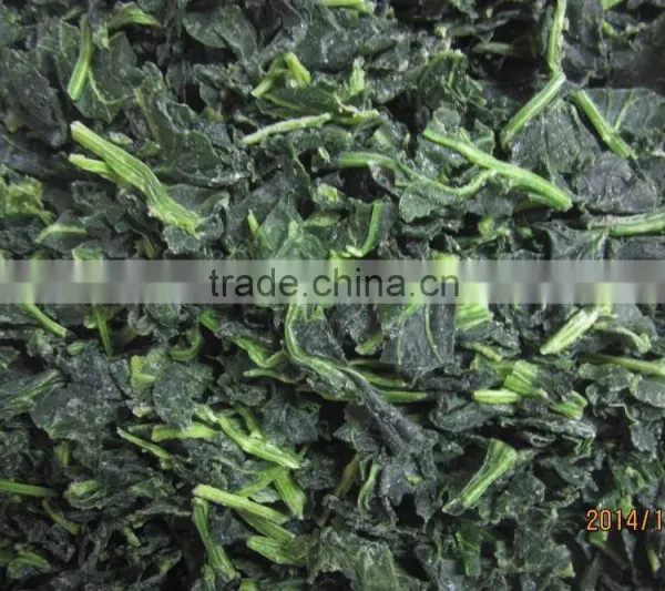 IQF Chopped Spinach Cuts photo-3