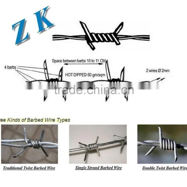 Hot Dipped Galvaznied Barbed Wire for Fence Hebei China photo-2