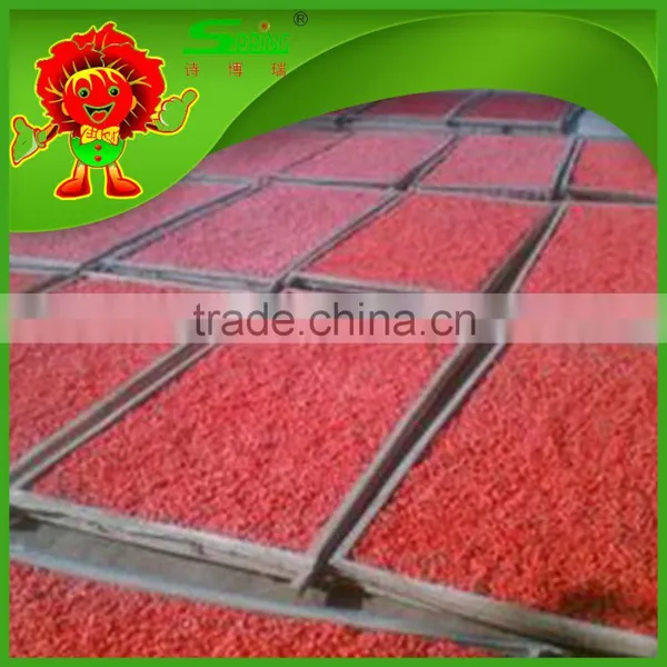 Premium Natural Wolfberry Organic Goji Berry Dry photo-6