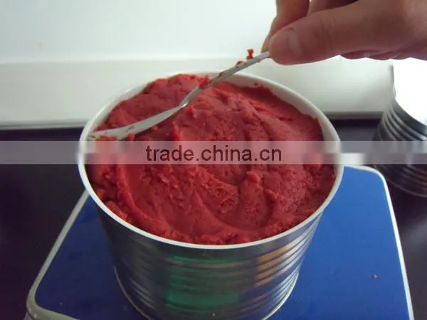 Good Quality Canned Tomato Paste. photo-4