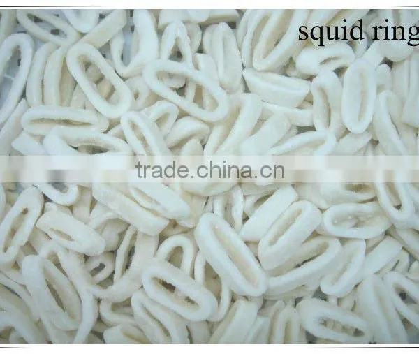 Common Squid Ring Seafood