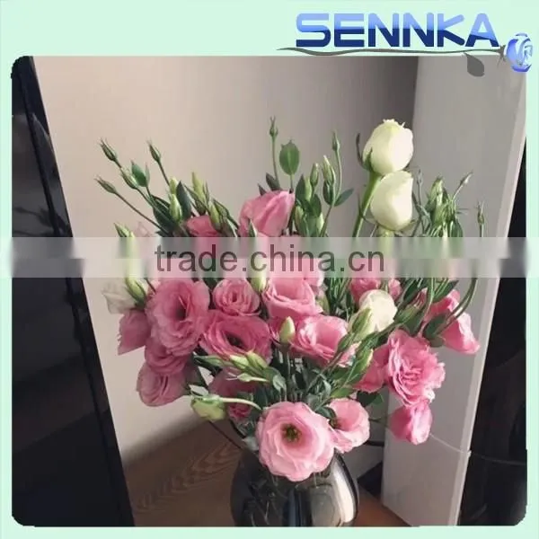 2016 Hot Selling Fresh Cut Flowers Purple Eustoma Purple Flower