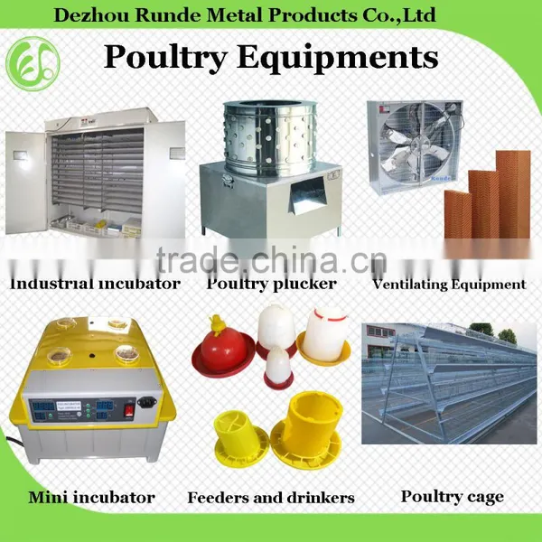All Avalible High Quality Chicken Poultry Equipment