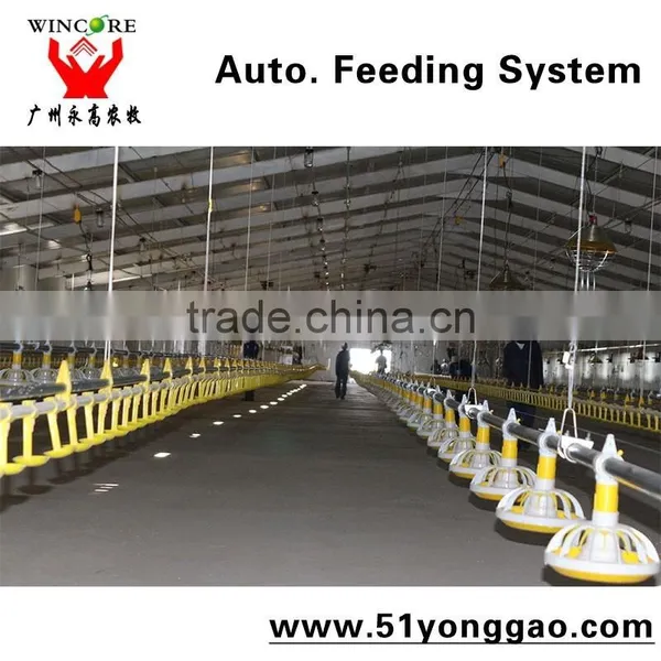 Automatic Poultry House Animal Feeding Line for Broiler Chicken Poultry Equipment in Animal Feeding System photo-3