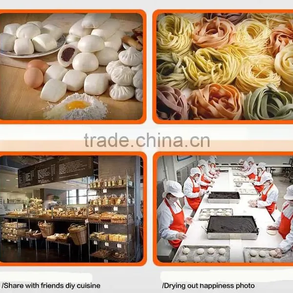 Commercial Dough Kneading Machine / Dough Mixing Machines for Flour / Dough Mixer for Tortilla photo-4