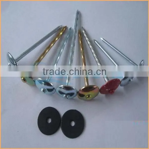 Top Quality Best Quality and Cheaper Big Head Roofing Nails Trusted Chuanghe Suppliers From Com photo-4