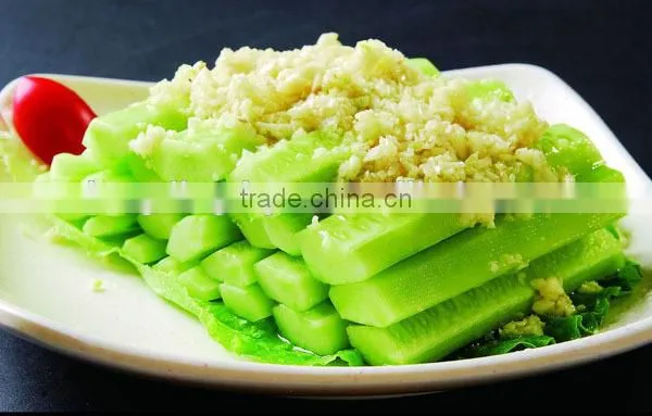Good Selling Chilli Paste Grinding Machine/ginger Paste Making Machine Supply From Henan photo-6