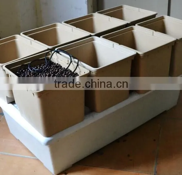 Aeroponic Hydroponic Lettuce Bato Bucket Dutch Bucket Systems
