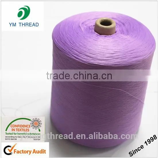 Polyester Dty Pagoda Yarn photo-3