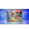 Sell Shoe Materials