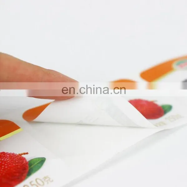 China Manufacturer Custom Colored Adhesive Sticker/ Roll Logo Printed Label photo-4