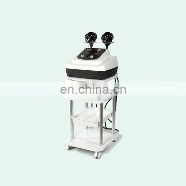 Multifunctional Beauty Instrument Electric Guasha Device Vertical Machine