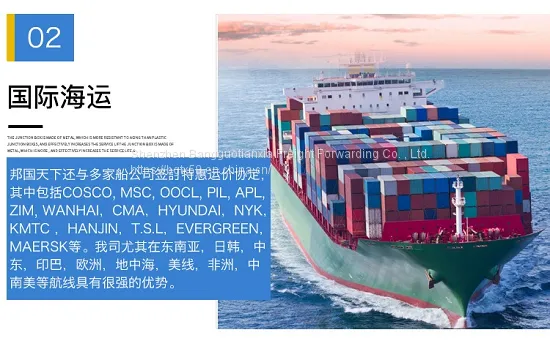International Logistics of Singapore International Shipping to Amazon Warehouse Line photo-3