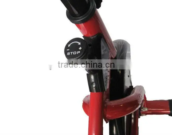 Indoor Cycling Exercise Bike SB450 Body Fit Chain Cycling Bike Spin Bike photo-2