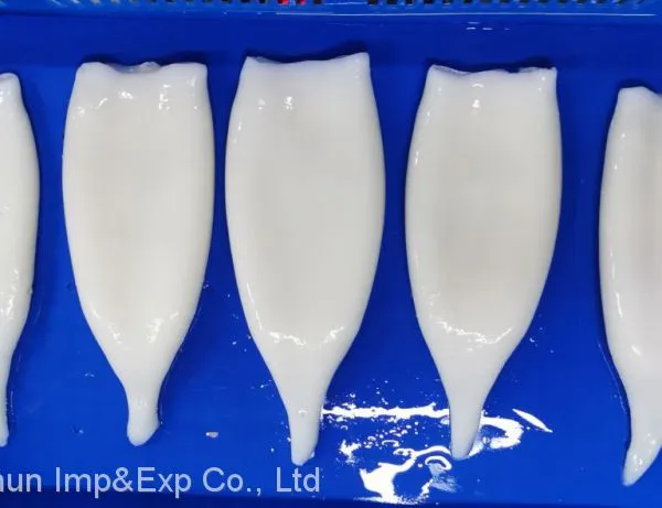 Frozen Squid Tube photo-2