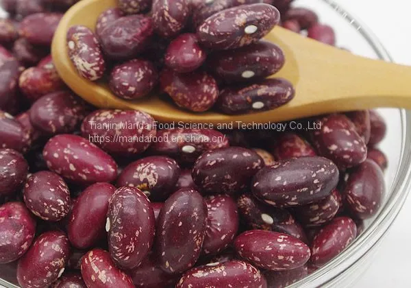 Purple Speckled Kidney Beans