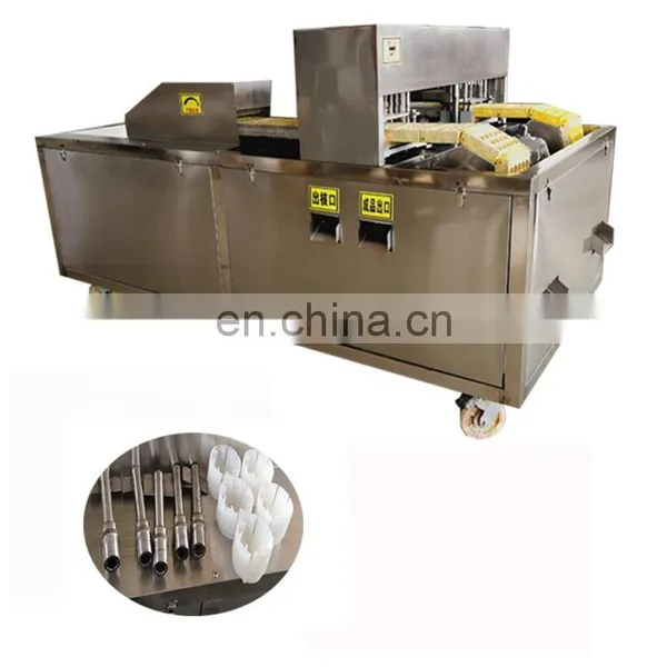 Peach Seed Removing Equipment Peach Nuclear Pitting Machine. photo-5