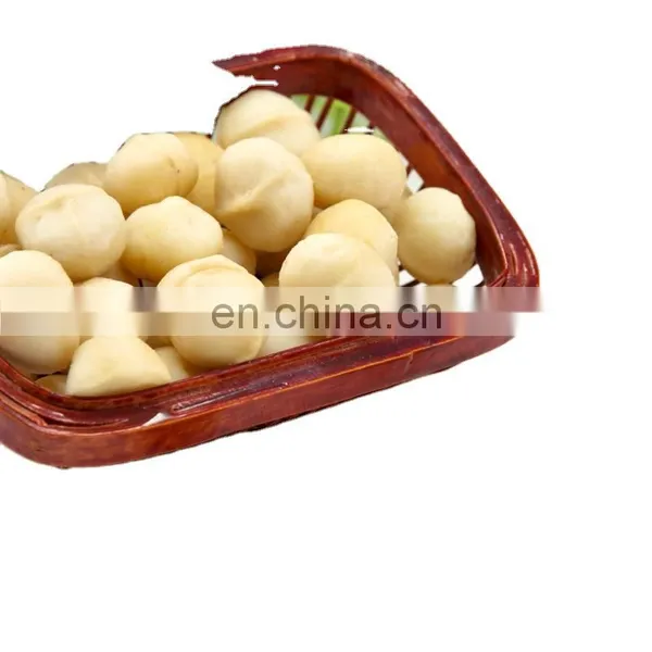 Not Roasted Macadamia Nuts Seeds Factory Price Macadamia Nuts Wholesale Roasted Macadamia Nuts photo-3