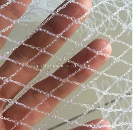 Anti-Bird Netting Farm Supply Polyethylene Bird Net for Blueberries Vineyards Orchards