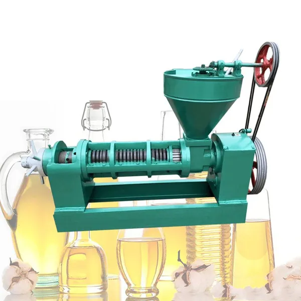 Seeds Oil Extractor Press Palm Kernels Oil Extractor Oil Extraction Machine
