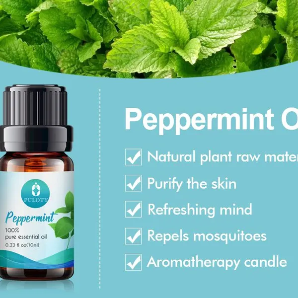 Wholesale Bulk Free Sample Peppermint Essential Oil Private Label Pure Natural Organic Undiluted Peppermint Oil for Hair Care photo-3
