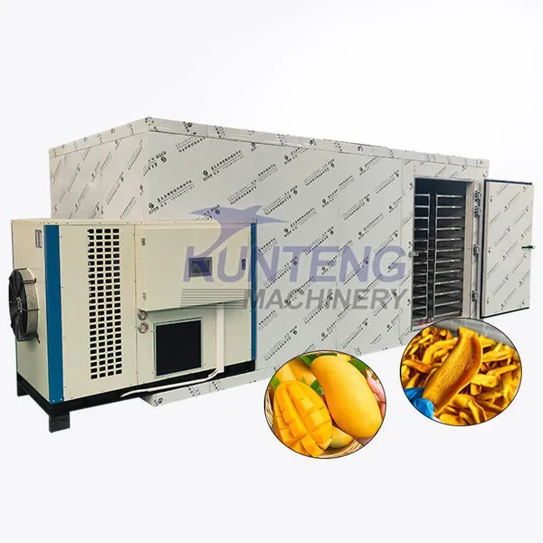 Dried Fruit Processing Equipment Mango and Pawpaw Drying Machine Dried Fruit Mango Production Line EPC