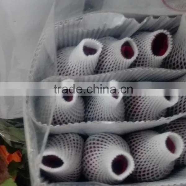 Decorative Promotional Color Black Magic Rose Flower photo-4