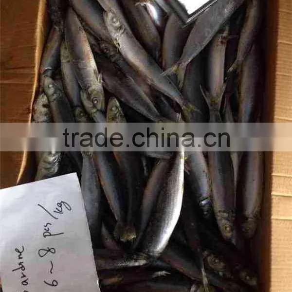 Frozen Sardine 100-150g photo-2