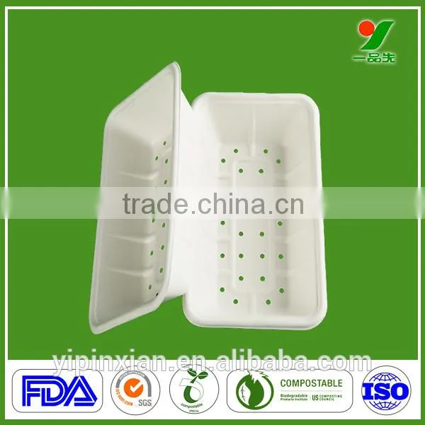 Professional Manufacturer Top Grade 90days Biodegradable Composable Hygiene Sugarcane Bagasse Molded Pulp Fruit Packaging Plates photo-3
