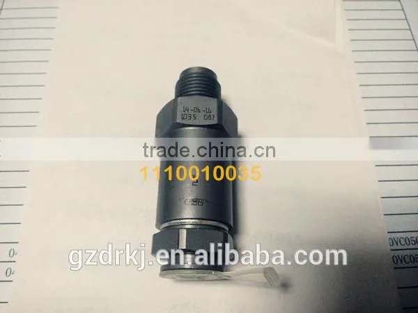 Good Quality /factory Price C-R Pipe Pressure Relief Valve 1110010035