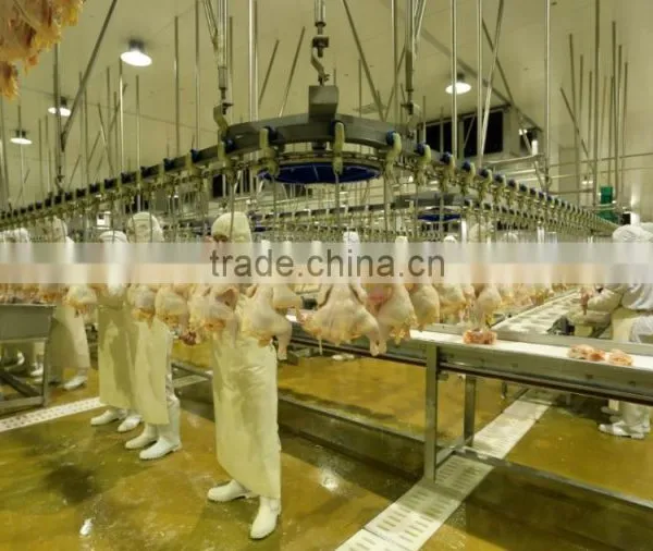 Chicken Breast Strips/chicken Fillet photo-4