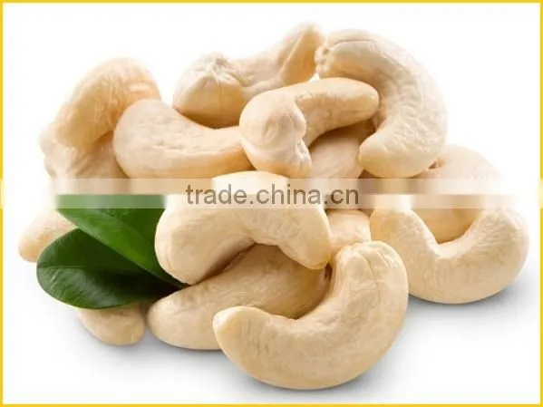 Vietnam Nutritious Cashew Nuts for Exporting photo-2