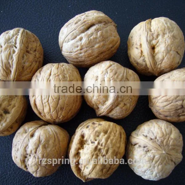 Normal Shell Walnut