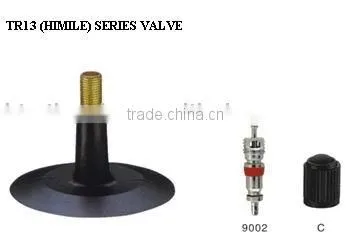 TR13 Tire Valves With Accessories