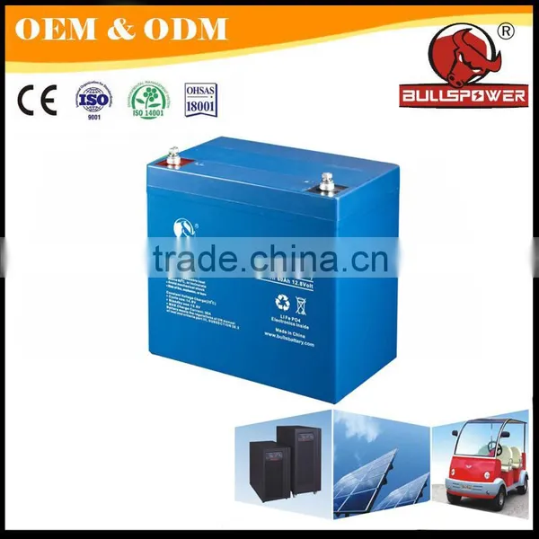 Advanced Technology Lithium Ion Battery Manufacturers for Golf Car Battery photo-3