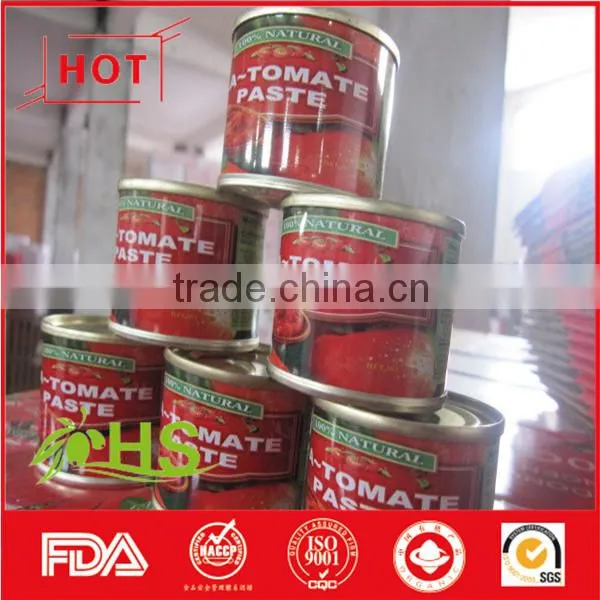 Tomato Paste of Best Quality photo-6
