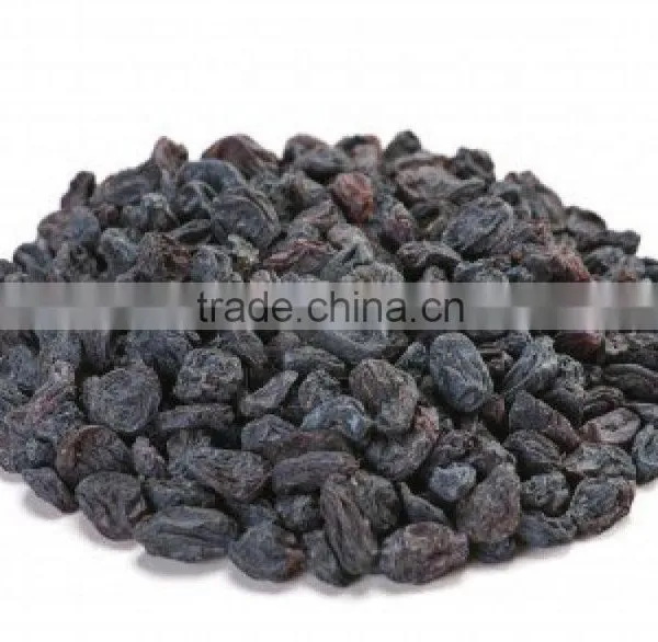 INDIAN BEST RATE BLACK RAISIN EXPORTER photo-6