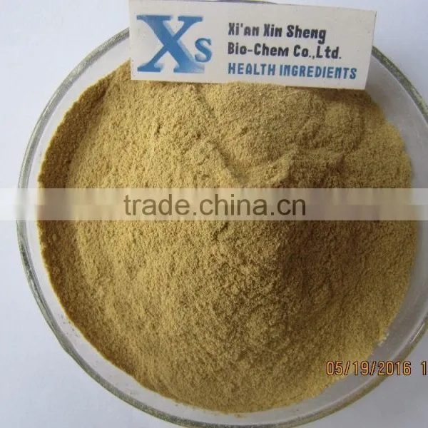 GMP Kosher Natural Panax Notoginseng Root Extract