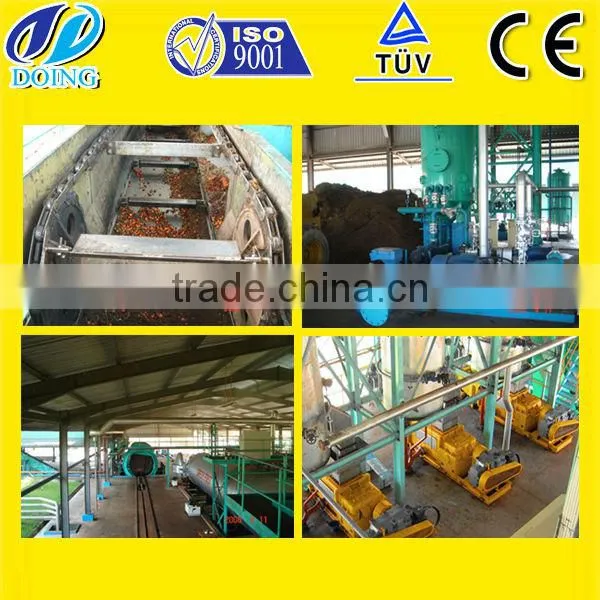 Automatic Palm Oil Extraction Machine | Edible Oil Extraction Machine From Palm Fruit to Refined Palm Oil photo-4