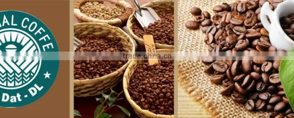 Cau Dat Arabica Catimor Beans With Fairtrade Certification photo-5