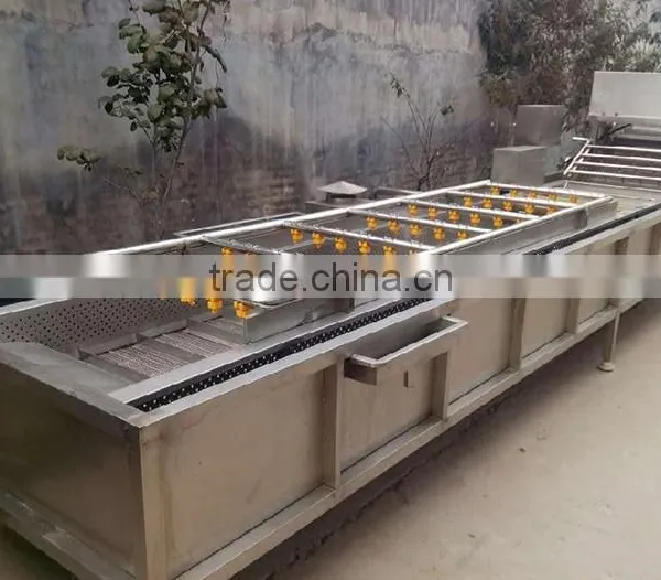 Hot Sale Vegetable Bubble Washing Machine/bean Sprout Washer Machine/bean Washing Machine photo-3