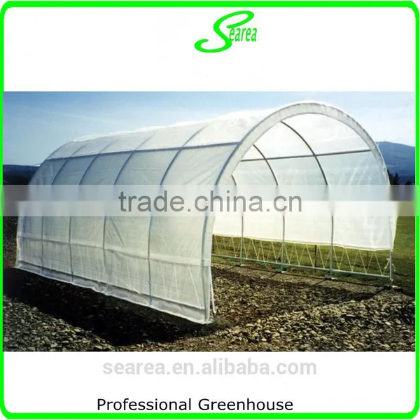 100x8m Agricultural Plastic Tunnel Greenhouse for Sale photo-5