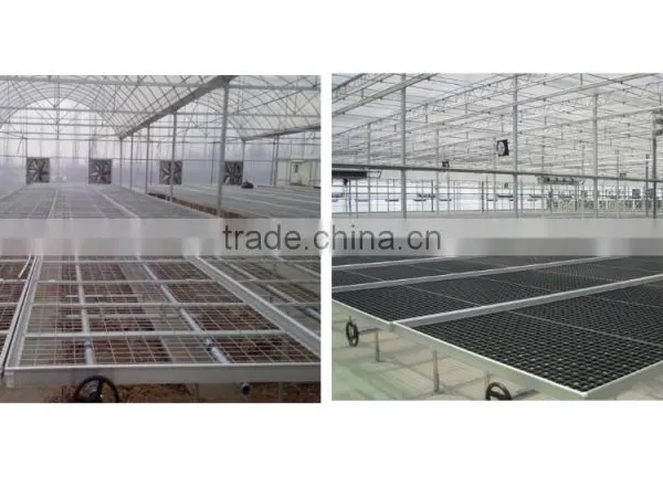BaoLiDa pc Shed Greenhouse Hot-dip Galvanized Steel Pipe Structure for Roses photo-4