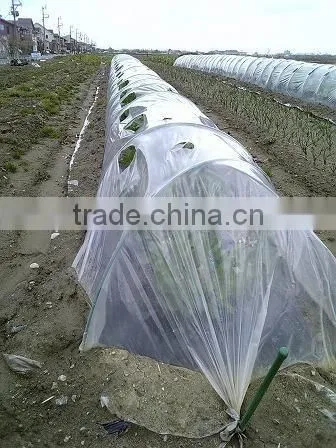 Garden Used Agricultural Greenhouse Tunnel Film on Sale photo-4