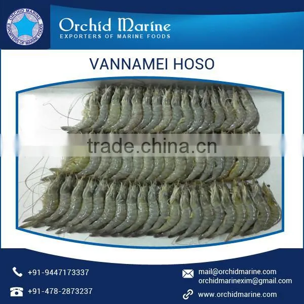 Super Healthy Frozen Vannamei Hoso Shrimps for Bulk Purchase photo-5
