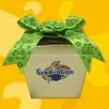 Graduation Gourme Fortune Cookies